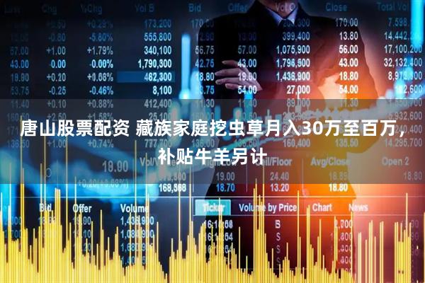 唐山股票配资 藏族家庭挖虫草月入30万至百万，补贴牛羊另计