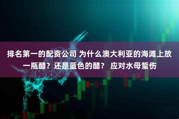 排名第一的配资公司 为什么澳大利亚的海滩上放一瓶醋？还是蓝色的醋？ 应对水母蜇伤