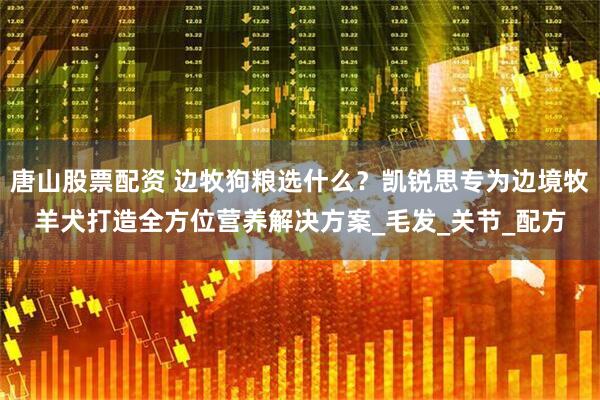 唐山股票配资 边牧狗粮选什么？凯锐思专为边境牧羊犬打造全方位营养解决方案_毛发_关节_配方