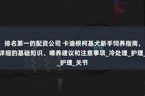 排名第一的配资公司 卡迪根柯基犬新手饲养指南，包含详细的基础知识、喂养建议和注意事项_冷处理_护理_关节
