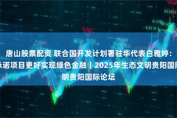 唐山股票配资 联合国开发计划署驻华代表白雅婷：自然承诺项目更好实现绿色金融｜2025年生态文明贵阳国际论坛